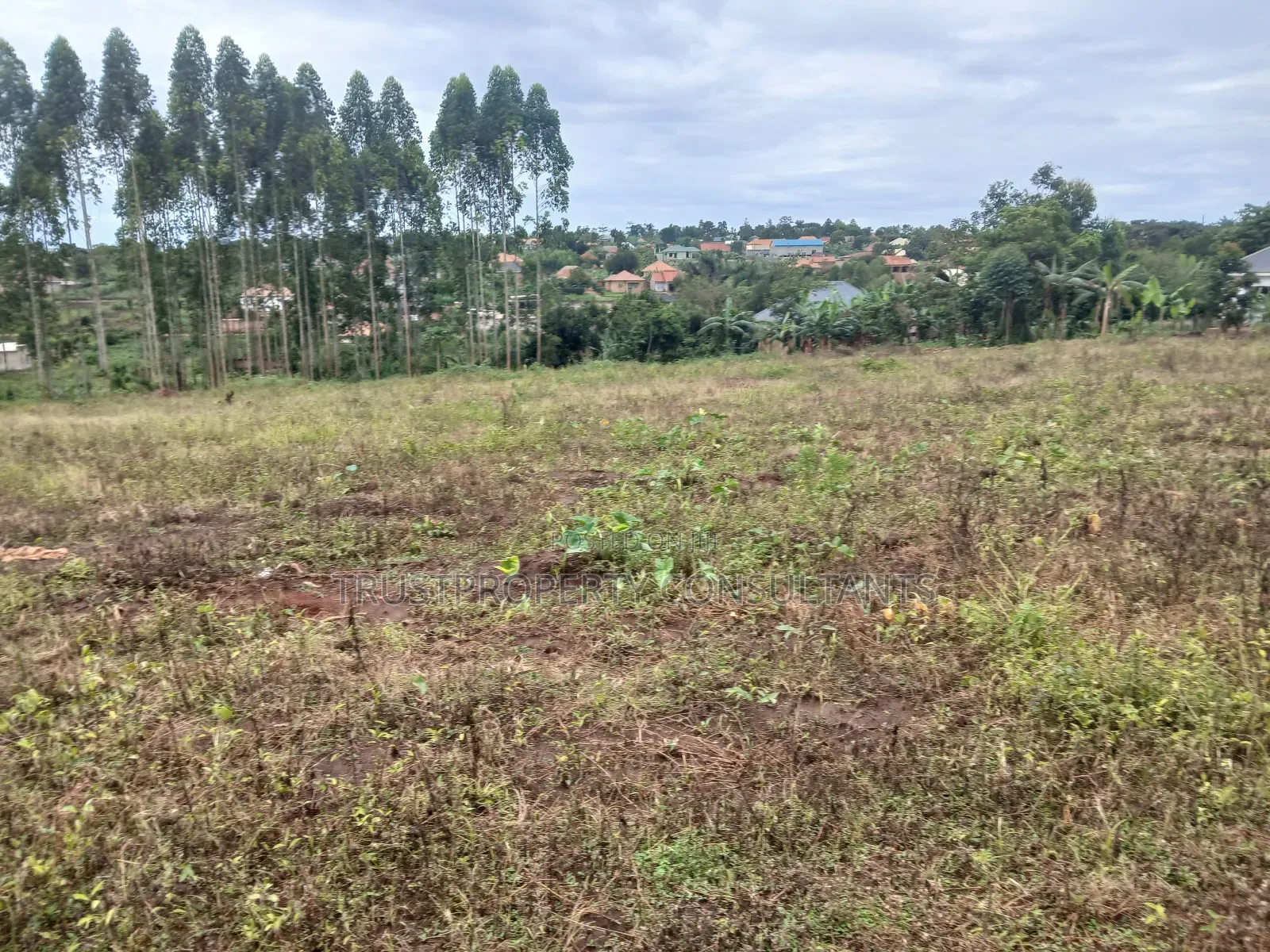 Plots Available at Matugga Kavule Electricity on Site Instalments