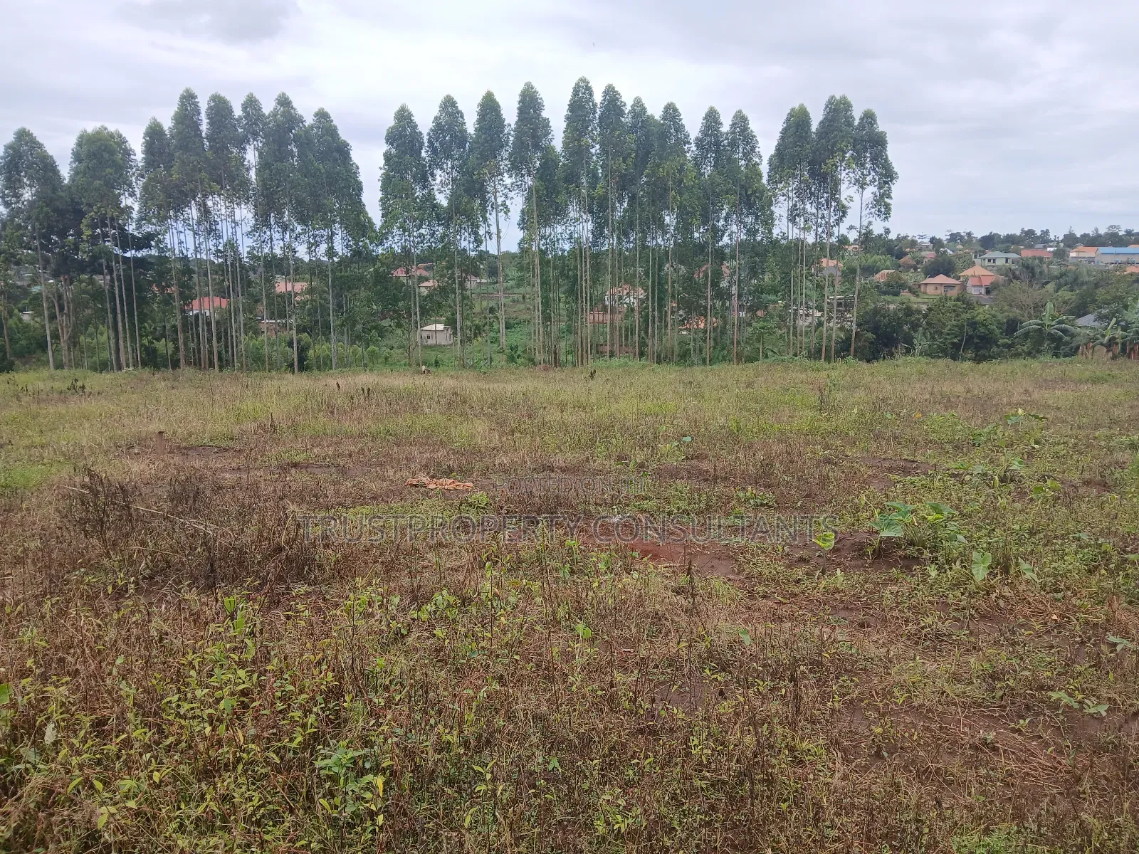 Plots Available at Matugga Kavule Electricity on Site Instalments