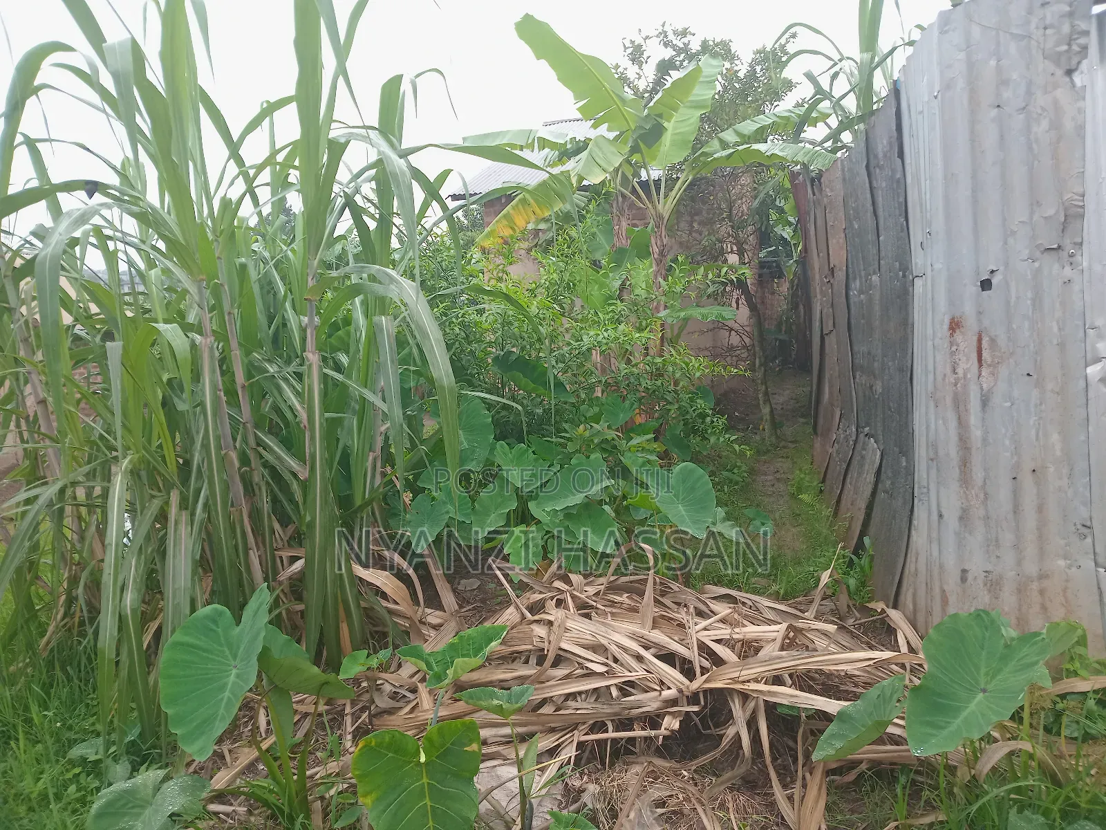 Plot for Sale Lugala Masanafu