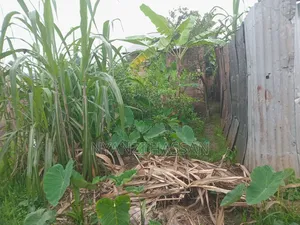 Plot for Sale Lugala Masanafu