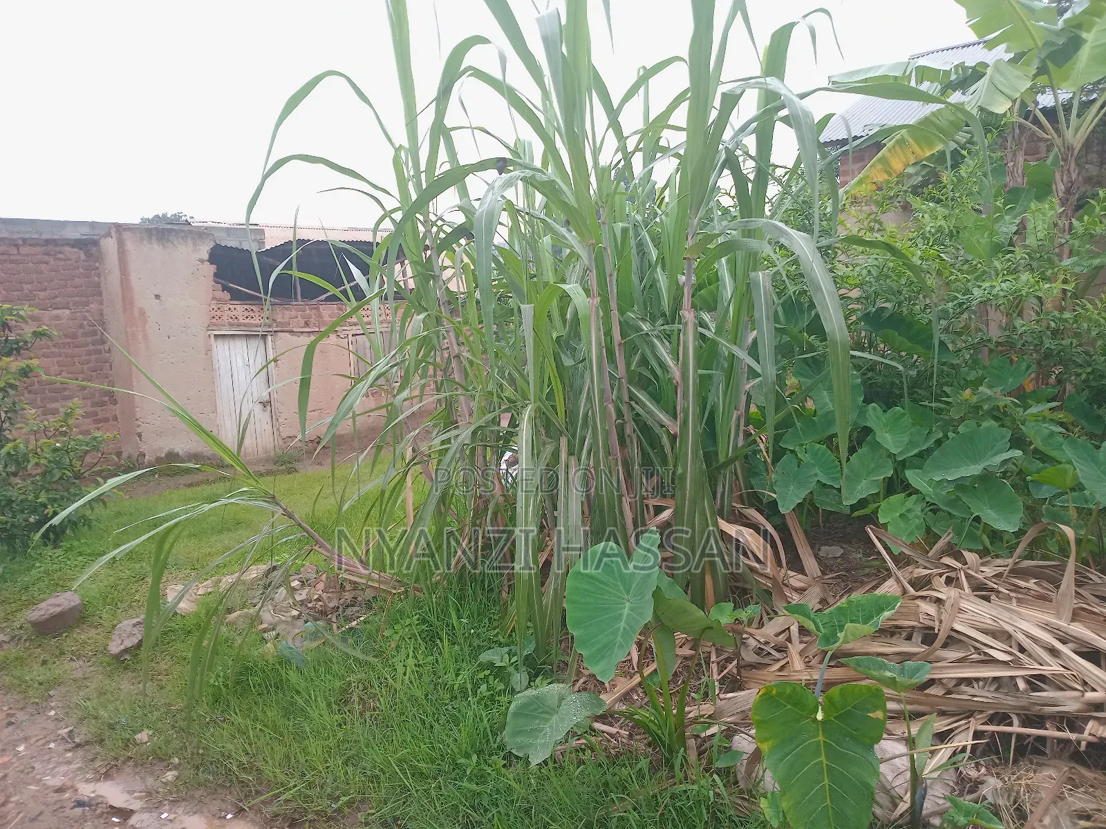 Plot for Sale Lugala Masanafu