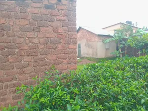 Plot for Sale Lugala Masanafu