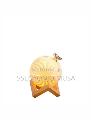 Modern Air Humidifier Diffuser | 330ml, Color Changing Light
