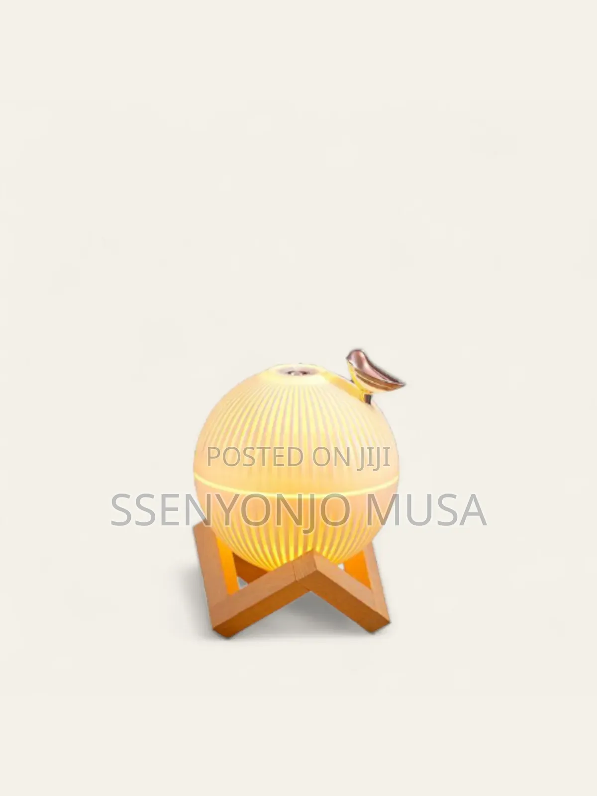 Modern Air Humidifier Diffuser | 330ml, Color Changing Light