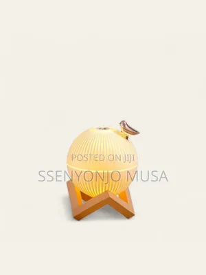 Modern Air Humidifier Diffuser | 330ml, Color Changing Light