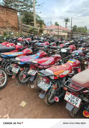 TVS HLX 125 2023