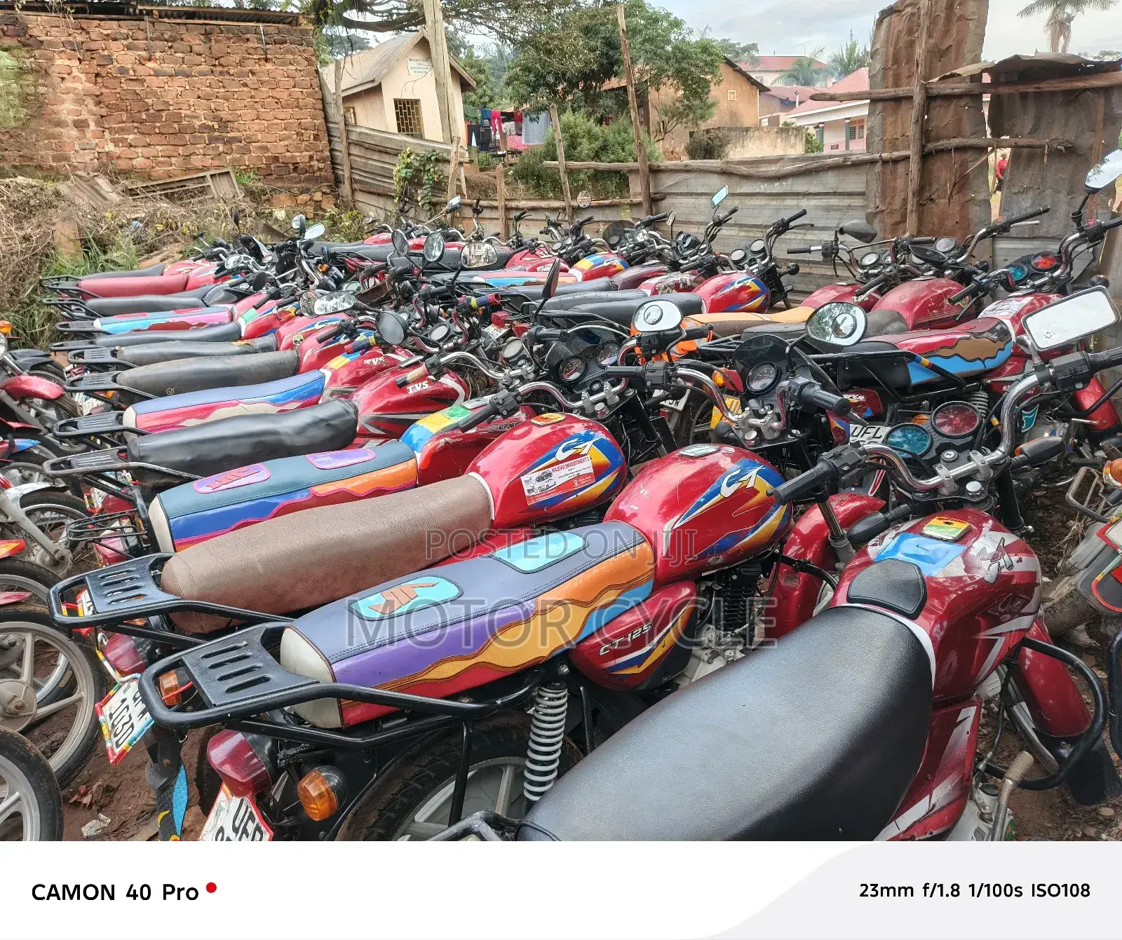 TVS HLX 125 2023