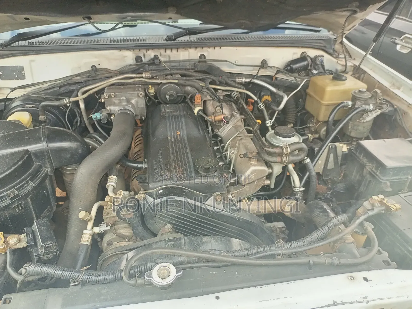 Toyota Land Cruiser 2004 White
