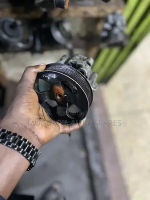 Kluger Hydraulic Pump