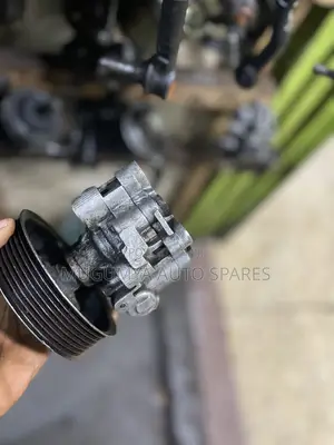 Kluger Hydraulic Pump
