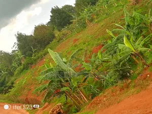 Entebbe Express Highway View Jumai Estate