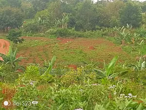 Entebbe Express Highway View Jumai Estate