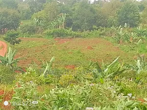 Entebbe Express Highway View Jumai Estate
