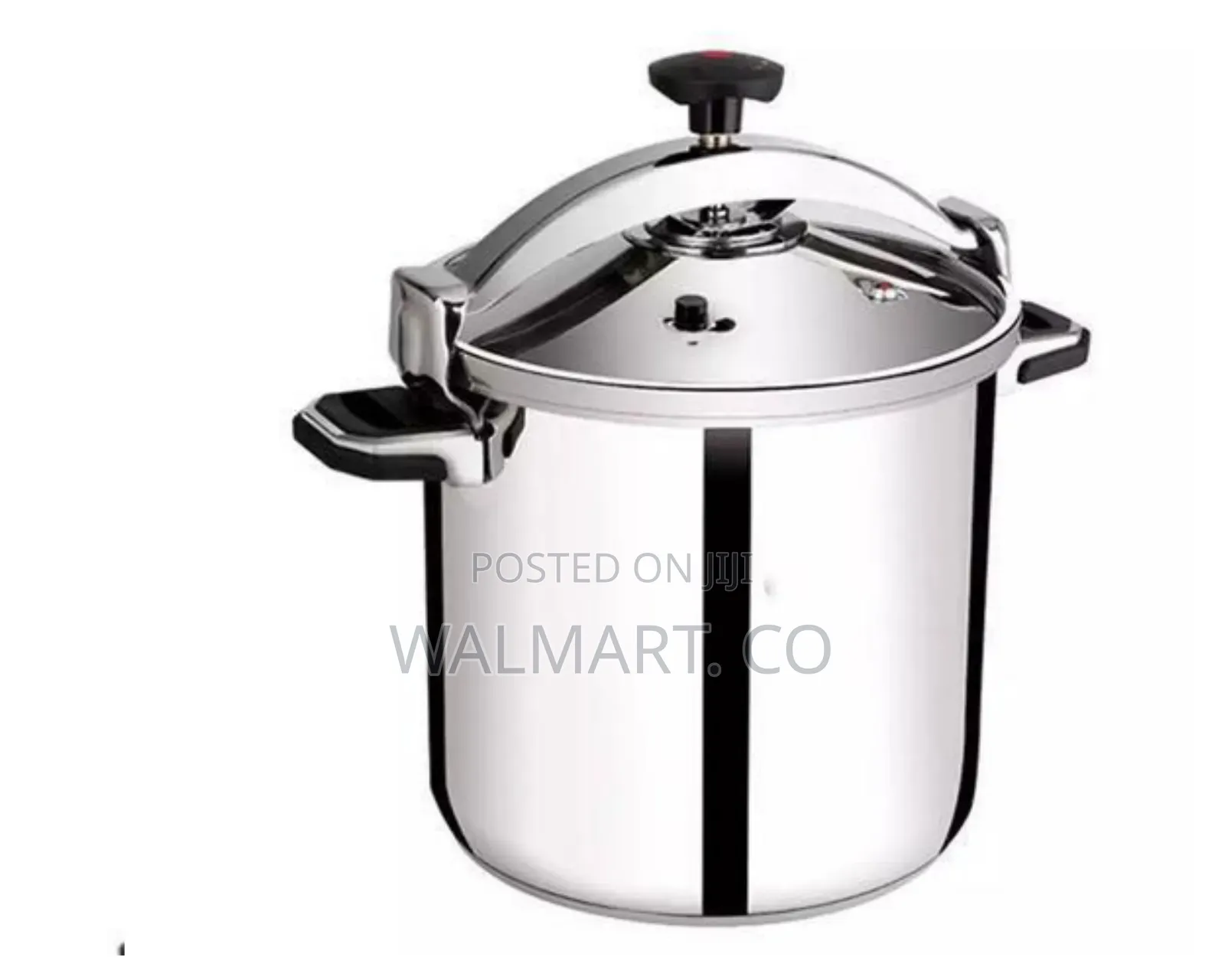 Regina 30l Pressure Cooker Saucepan Cookware Pot-Silver