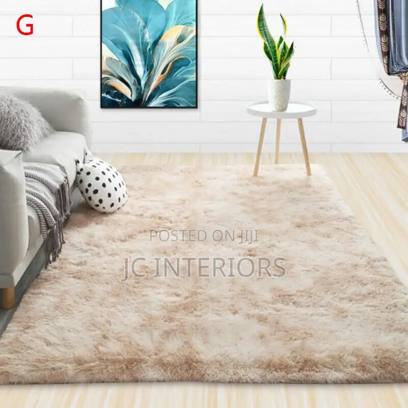 Modern Floor Living Room Carpet