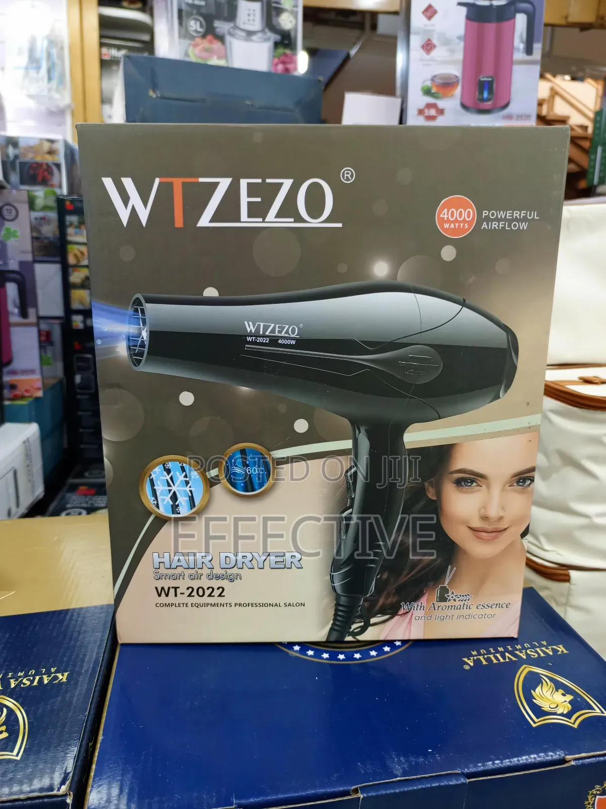 Professional Hair Dryer