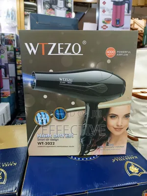 Professional Hair Dryer