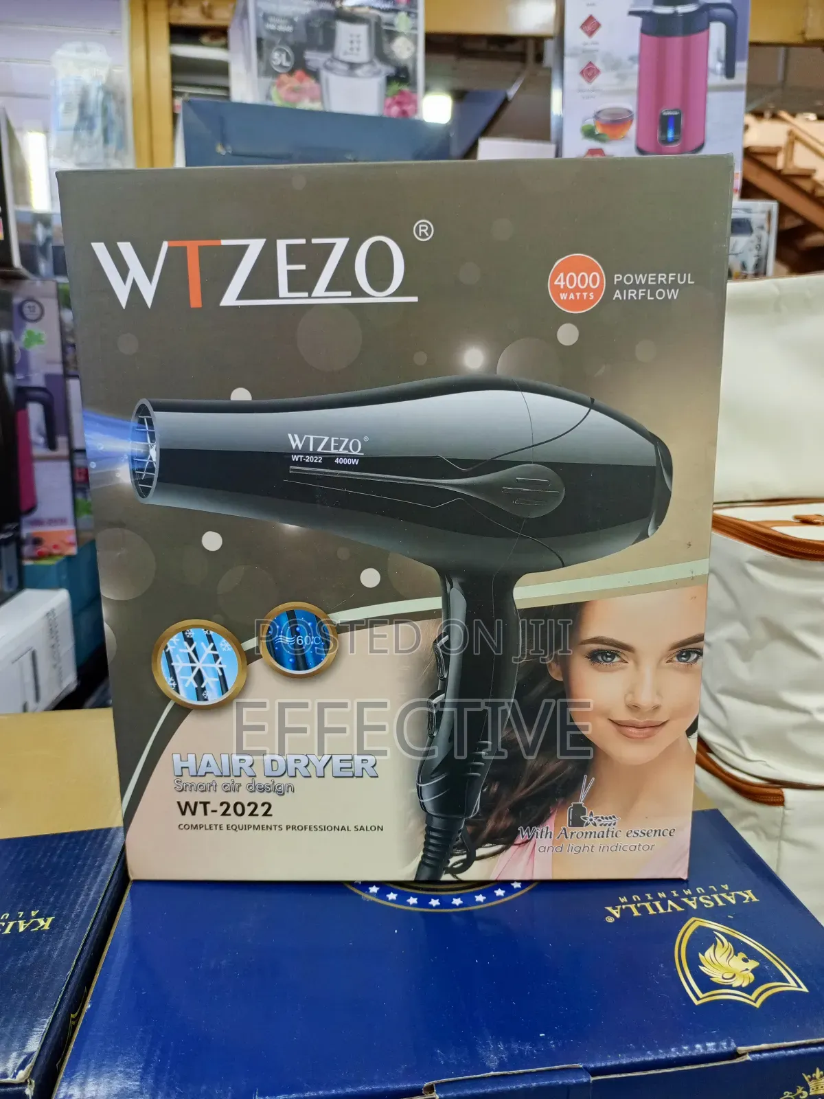 Professional Hair Dryer