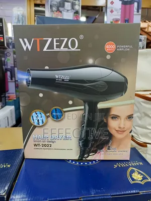 Professional Hair Dryer