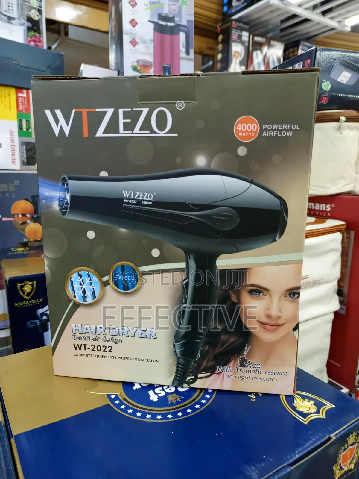 Professional Hair Dryer