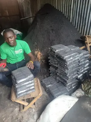 Eco-Friendly Sticky Briquettes by Vijom