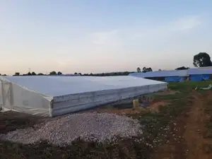 Solar Dryer ( Uv Plastic)