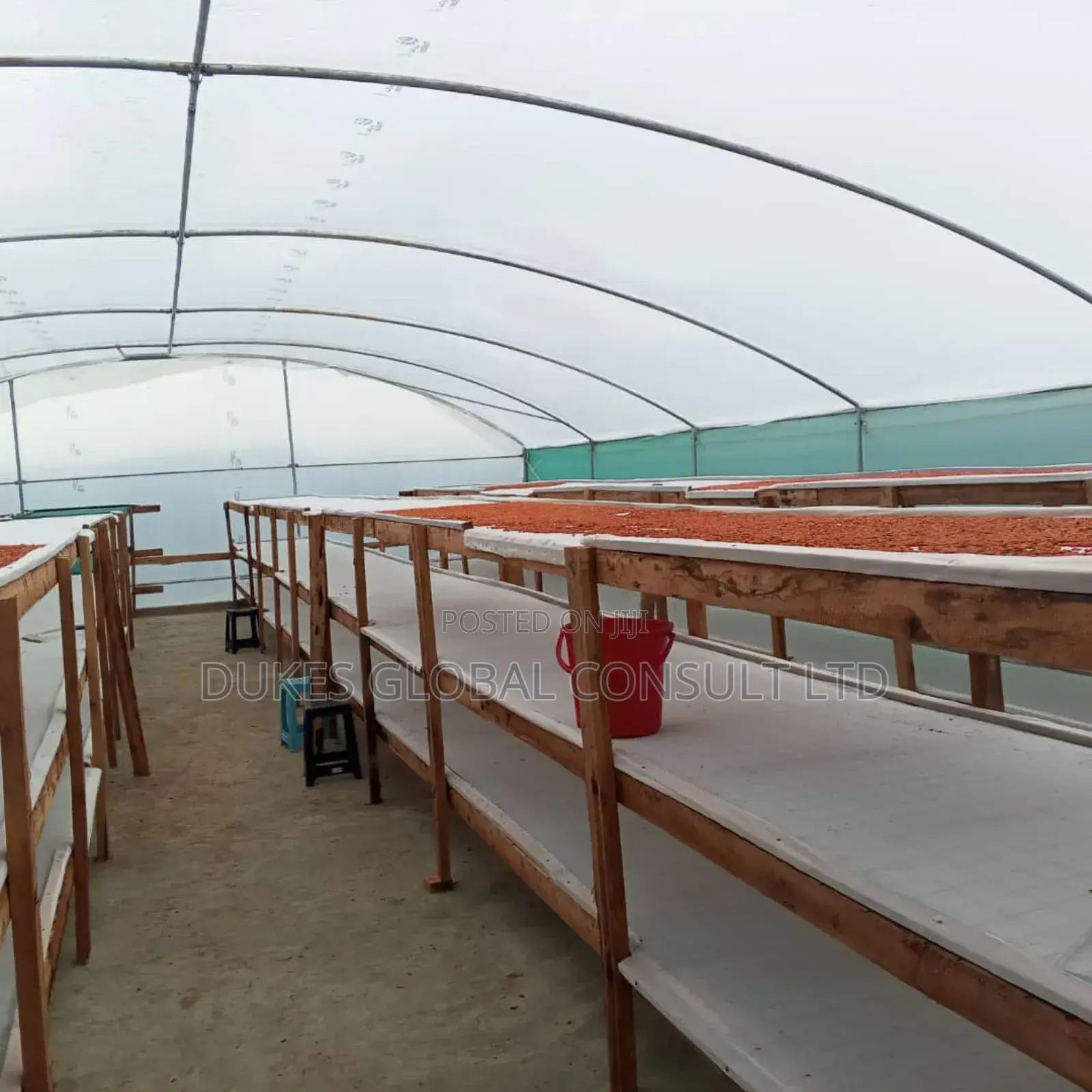 Solar Dryer ( Uv Plastic)
