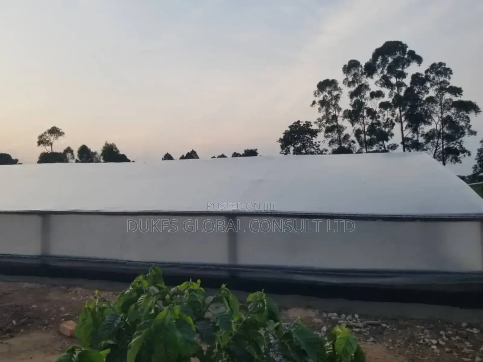 Solar Dryer ( Uv Plastic)