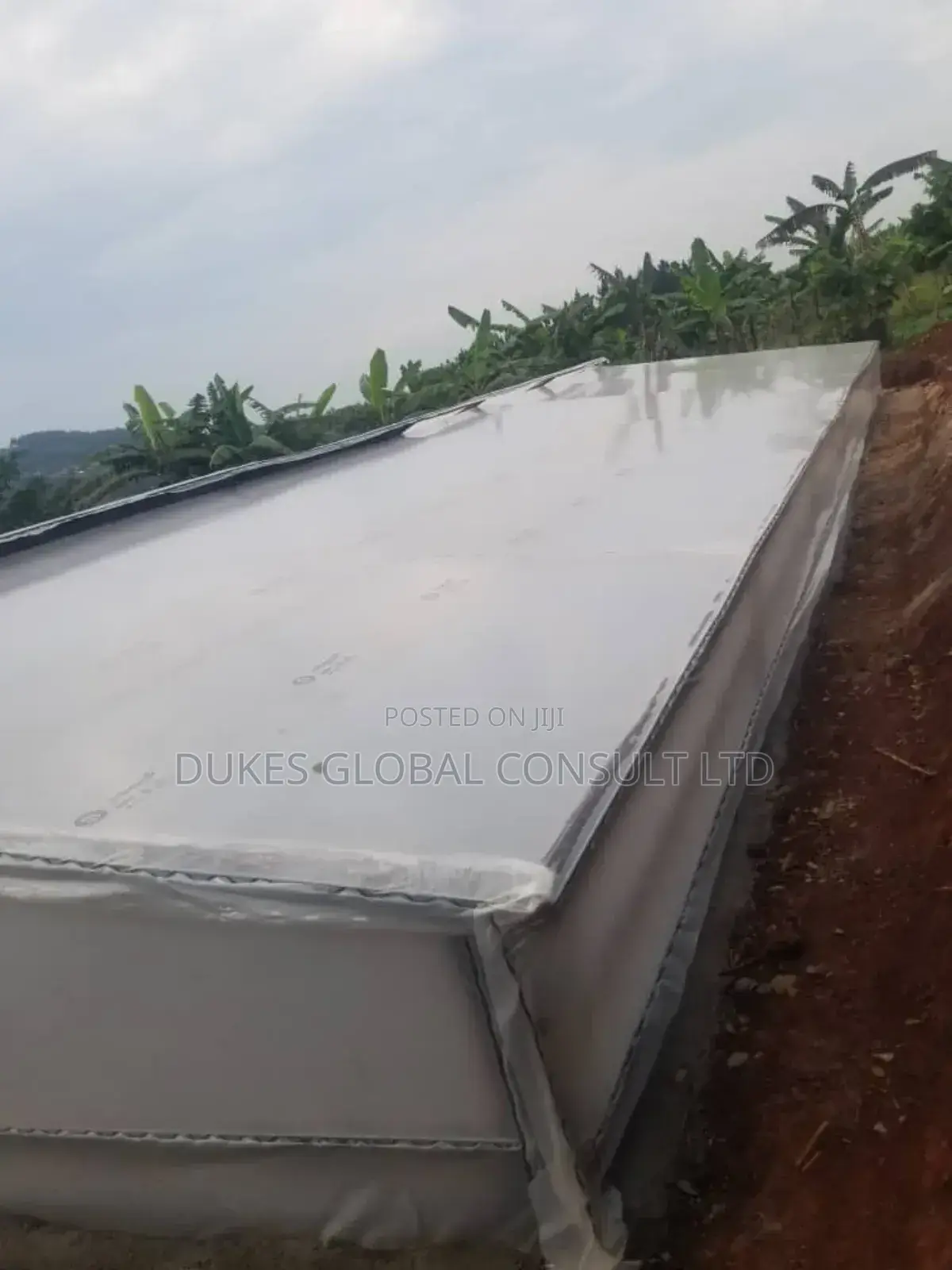 Solar Dryer ( Uv Plastic)