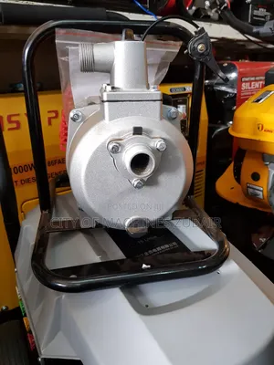 Potable Surface Pump 1inch