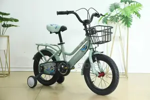 Jen Kids Bicycle Green 1 to 9 Years