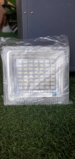 Flood Light