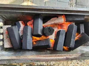 Briquettes for a Healthier Environment,