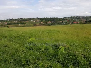 50*100ft Titled Plots For Sale In Bujjuuko