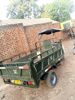 Tricycle 2025 Green