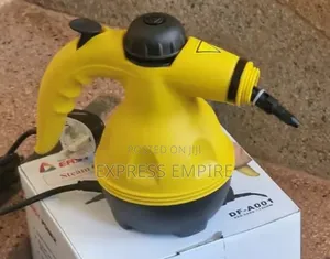 Df Steam Cleaner