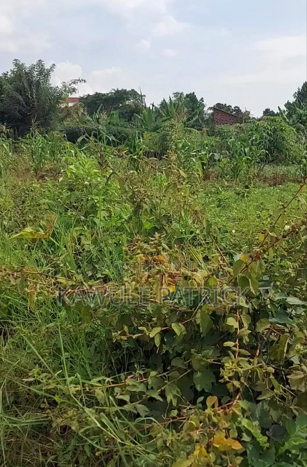 Agreement Sale Hill View Plot for Sale 130ft X130ft X105ft