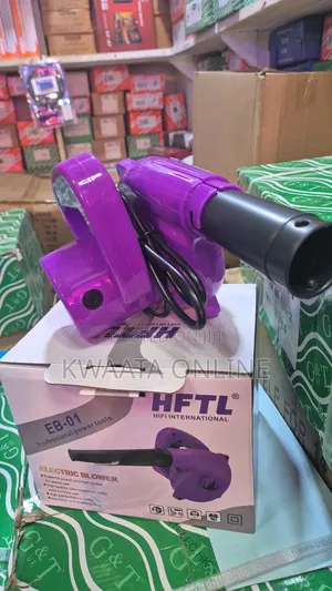 Electric Hand Held Air Blower Multifunctional 450w Dust Blower.