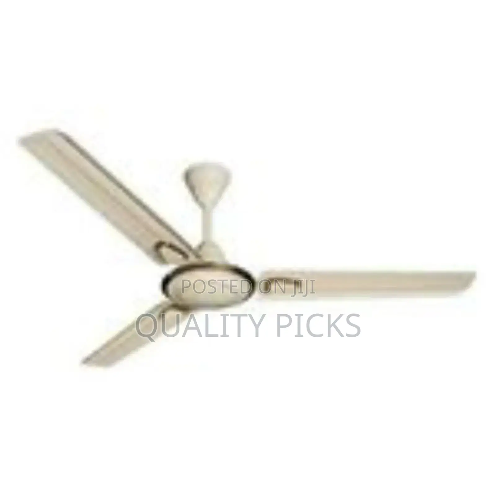 Ceiling Fan With 2 Blades.