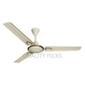 Ceiling Fan With 2 Blades.