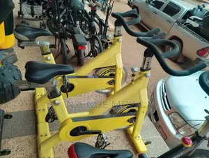 Ketra Spinning Bike