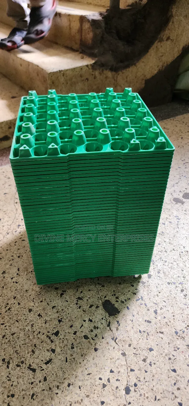 Plastic Magge Egg Tray 60pcs