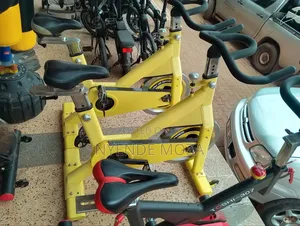 Ketra Original Exercise Bike