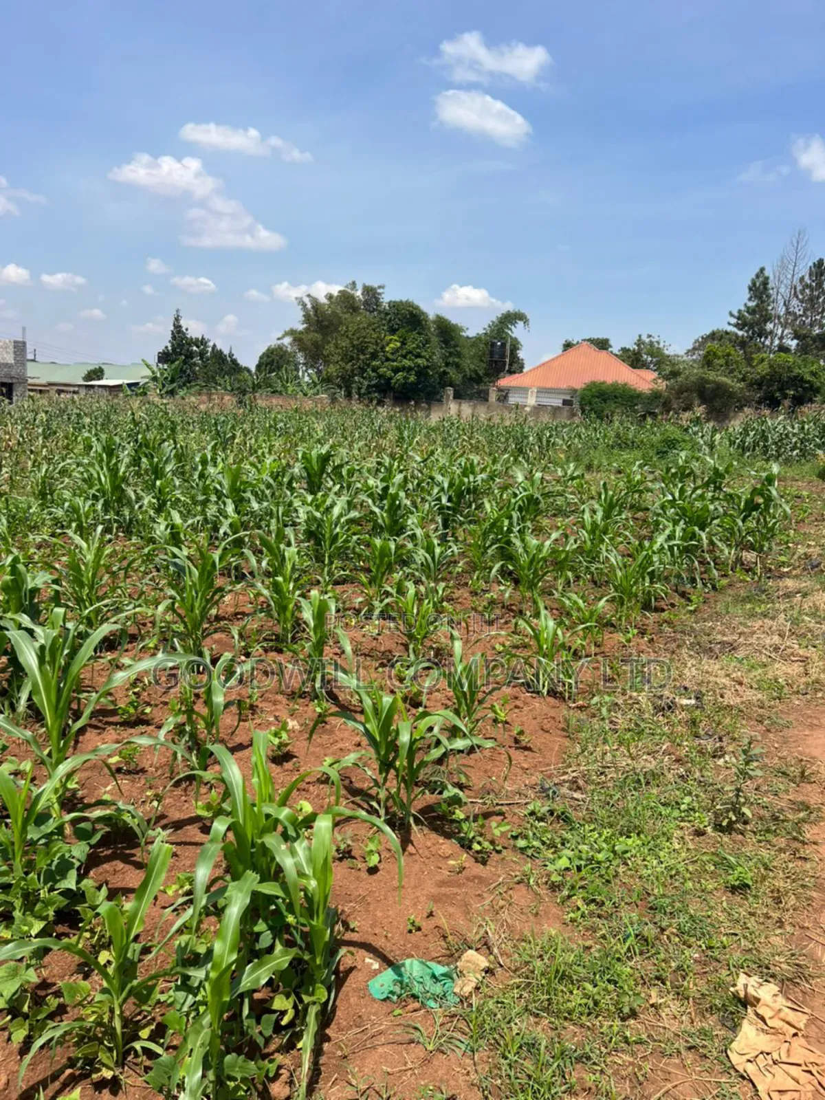 5 Acres of Land in Kiwanga Buto Bweyogerere