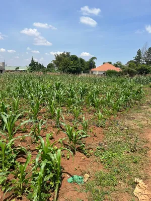 5 Acres of Land in Kiwanga Buto Bweyogerere