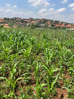 5 Acres of Land in Kiwanga Buto Bweyogerere