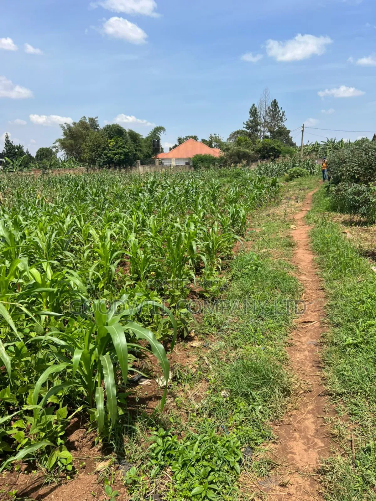5 Acres of Land in Kiwanga Buto Bweyogerere