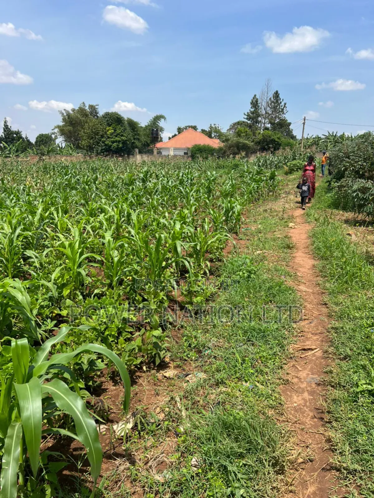 5 Acres of Land in Kiwanga Buto Bweyogerere