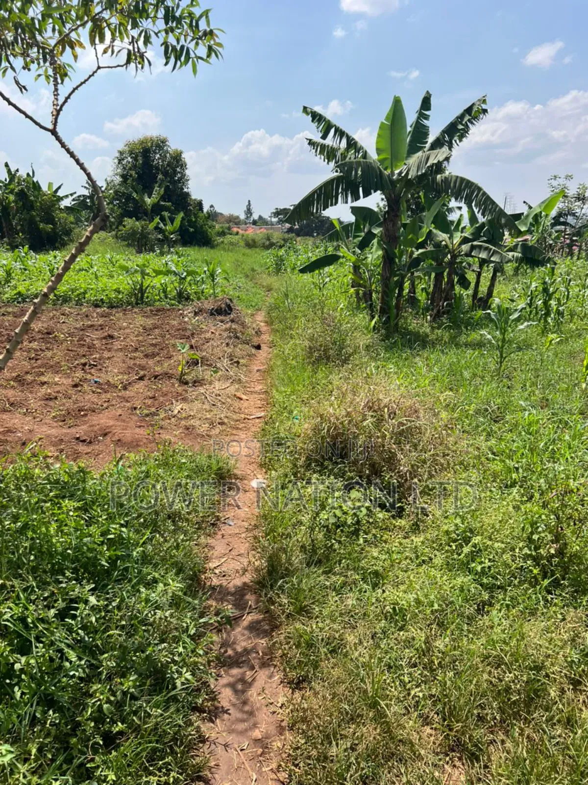 5 Acres of Land in Kiwanga Buto Bweyogerere