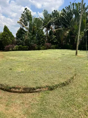 77.7 Decimals of Land in Namugongo, 50 Meters Off the Main Tarmac Road